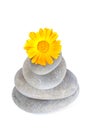 Yellow flower on top of a stack of pebbles