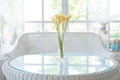 Yellow flower in vase on table and window sill background. Vintage style decorate