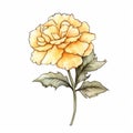Yellow Flower Watercolor Illustration: Baroque-inspired Chiaroscuro Art Royalty Free Stock Photo