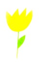 Yellow flower on a white background