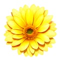 yellow flower on white background, watercolor style, Ai Generated Royalty Free Stock Photo