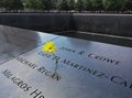 Yellow flower on World Trade Center Memorial pool. August 2015 Royalty Free Stock Photo