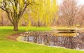 Spring willow tree, pond and bridge Royalty Free Stock Photo