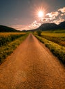 Yellow flowering fields, ground road and beautiful valley, nature spring landscape Royalty Free Stock Photo