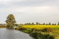 Yellow-flowering rapeseed in a Dutch field next to a narrow meandering river Royalty Free Stock Photo