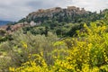 Yellow Flowers Ancient Agora Parthenon Acropolis Athens Greece Royalty Free Stock Photo