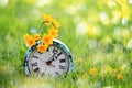 Yellow Flowers on an antique alarm clock