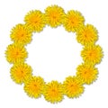 Yellow flowers arranged in a round frame isolated on white background. Floral frame from dandelions. Copy space Royalty Free Stock Photo