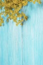 Yellow flowers autumn frame on a blue wooden background Royalty Free Stock Photo