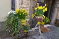 Yellow flowers on a bicycle