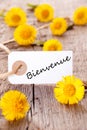 Yellow Flowers with Bienvenue
