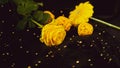Yellow flowers on black background. Gerbera and rose on black veil with beads and decor.