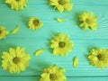 Yellow flowers on a blue wooden background Royalty Free Stock Photo