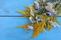 Yellow flowers on blue wooden table. Natural floral background. Bunch of medicinal plants goldenrod, yarrow and chicory Royalty Free Stock Photo