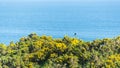 Cullen coastside views in a clear day Royalty Free Stock Photo