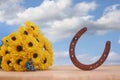 Yellow Flowers and Butterfly Jewelry With Blue Sky and Horseshoe Royalty Free Stock Photo