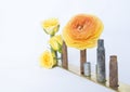 Yellow Flowers Close Up in Bullet Shell Vases on White Background Royalty Free Stock Photo