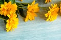 Yellow flowers composition on wooden background. Spring, easter, bithday