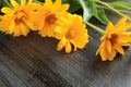 Yellow flowers composition on wooden background. Spring, easter, bithday