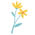 Yellow flowers. Daisies. Golden Bell, blossoming yellow flowers. for prints, posters, cards, design, cosmetics. Vector