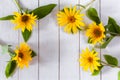 Yellow flowers of decorative sunflowers on a white wooden table Royalty Free Stock Photo