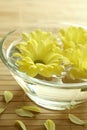 Yellow flowers floating in bowl. Royalty Free Stock Photo