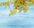 Yellow flowers frame on a blue wooden background Royalty Free Stock Photo