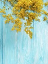 Yellow flowers autumn frame retro season decoration blooming on a blue wooden background Royalty Free Stock Photo