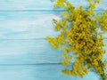 Yellow flowers autumn frame blooming on a blue wooden background Royalty Free Stock Photo