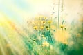 Yellow flowers and grass