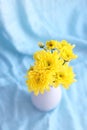 Yellow flowers hrysanthemums in a vase on a blue background Royalty Free Stock Photo