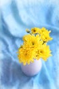 Yellow flowers hrysanthemums in a vase on a blue background Royalty Free Stock Photo