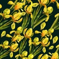 Yellow flowers, irises, watercolor illustration, seamless pattern Royalty Free Stock Photo