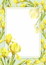 Yellow flowers, irises, watercolor illustration, summer flowers, vintage.