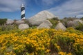 Yellow flowers with lighthouse in the background Royalty Free Stock Photo