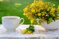 Yellow flowers of medicinal plant St. John\'s wort and a cup of tea on white wooden table on background of the meadow. Royalty Free Stock Photo