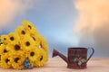 Yellow Flowers and Metal Water Can with Blue Sky Background Royalty Free Stock Photo