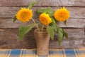 Yellow flowers of ornamental sunflowers in a vase Royalty Free Stock Photo