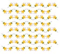 Yellow flowers pattern