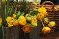 Yellow flowers peonies in a bucket, beautiful bouquets, raindrops and dew, background
