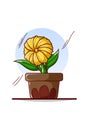 Yellow flowers on pots illustration Royalty Free Stock Photo