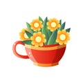 Yellow flowers in red jug isolated on white background Royalty Free Stock Photo