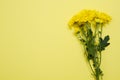 Yellow flowers on template postcard with copy space isolated background. Valentine and mother day. Top view and copy space. Flower