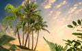 Palm trees and leaves pink flowers on sunset blue sky white clouds yellow flowersv summer holiday background copy space template Royalty Free Stock Photo