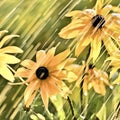 Yellow flowers under the rain. Royalty Free Stock Photo