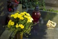 Detail in the grave with flowers in the cemetery in Croatia