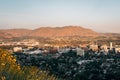 Yellow flowers and view of downtown Riverside, from Mount Rubidoux, Riverside, California Royalty Free Stock Photo