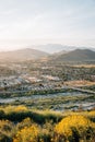 Yellow flowers and view from Mount Rubidoux, Riverside, California Royalty Free Stock Photo