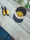 Yellow flowers in wicker bowl, rubber boots Royalty Free Stock Photo