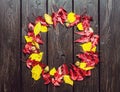 Yellow flowers on wooden background Royalty Free Stock Photo